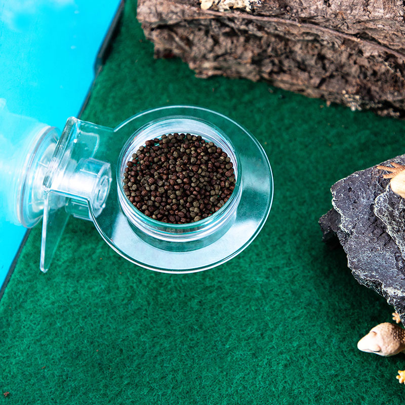 Water Dish Reptile - Acrylic Crawling Pet Feeding Water Bowl