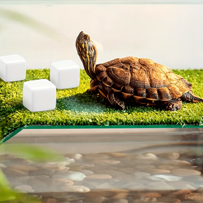6Pcs For Reptile Grinding Tort - Calcium Powder Reptile บทวิจารณ์และราคา