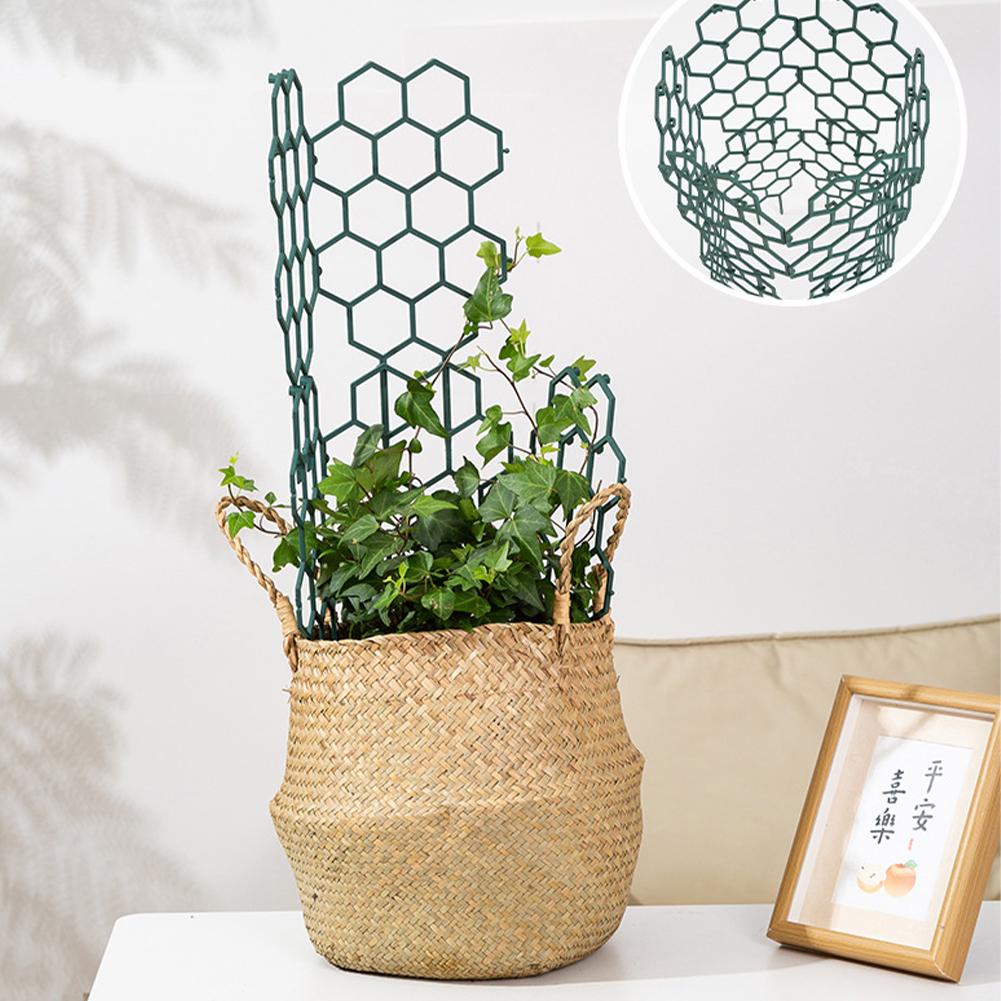 1/2/5Pcs Plastic Plant Support - Vine Climbing Plastic บทวิจารณ์และราคา