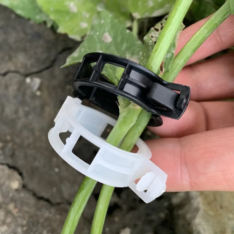 Reusable Plastic Plant Support - Vine Climbing Plastic บทวิจารณ์และราคา
