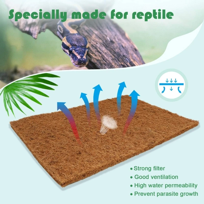Pack Of 4 Natural Coconut Fibe - Substrate Coconut Fiber บทวิจารณ์และราคา