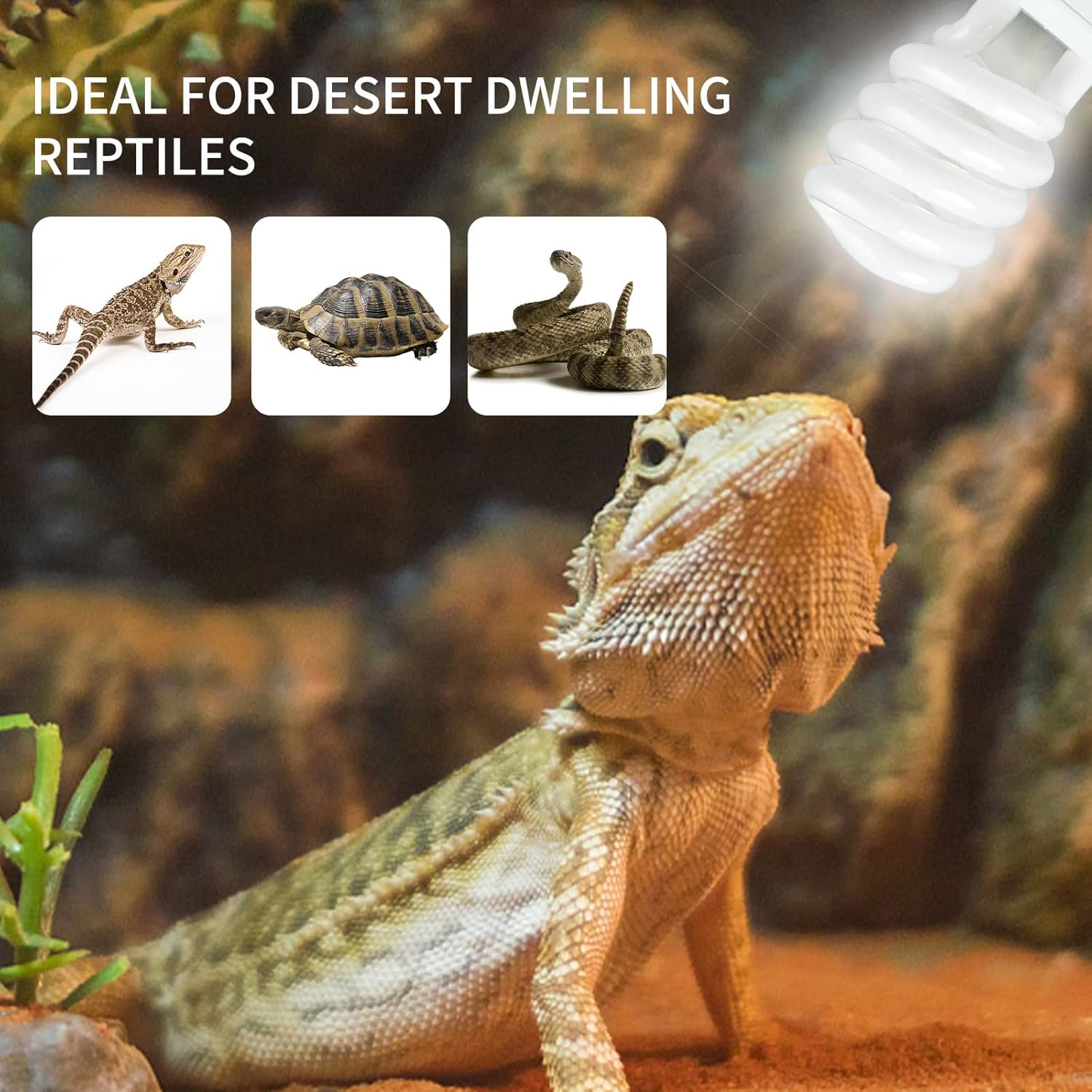 UVB 5.0 10.0 Reptile Heating L - Ceramic Heat Emitter บทวิจารณ์และราคา