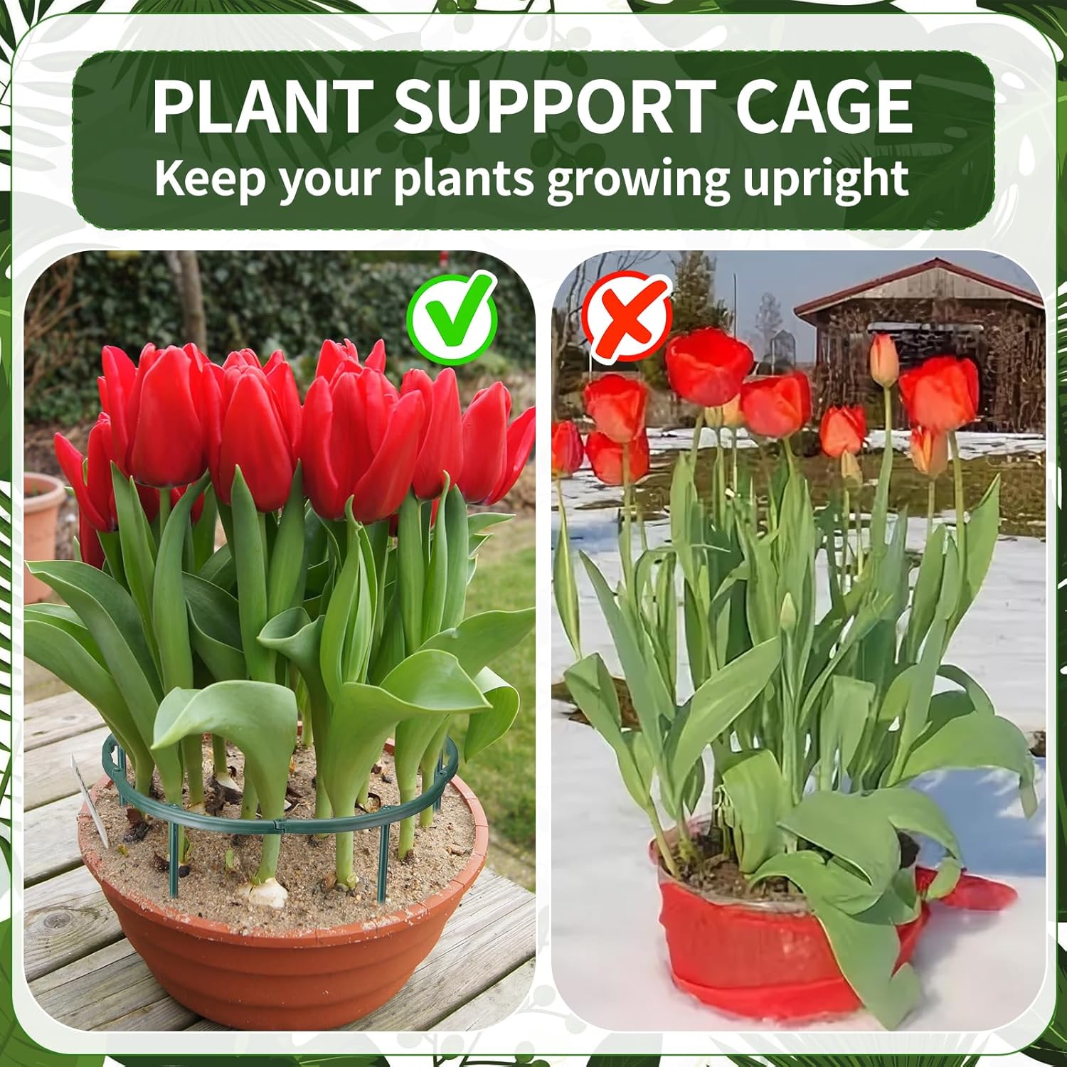 1/16pcs Plant Support Stake Fl - Vine Climbing Plastic บทวิจารณ์และราคา