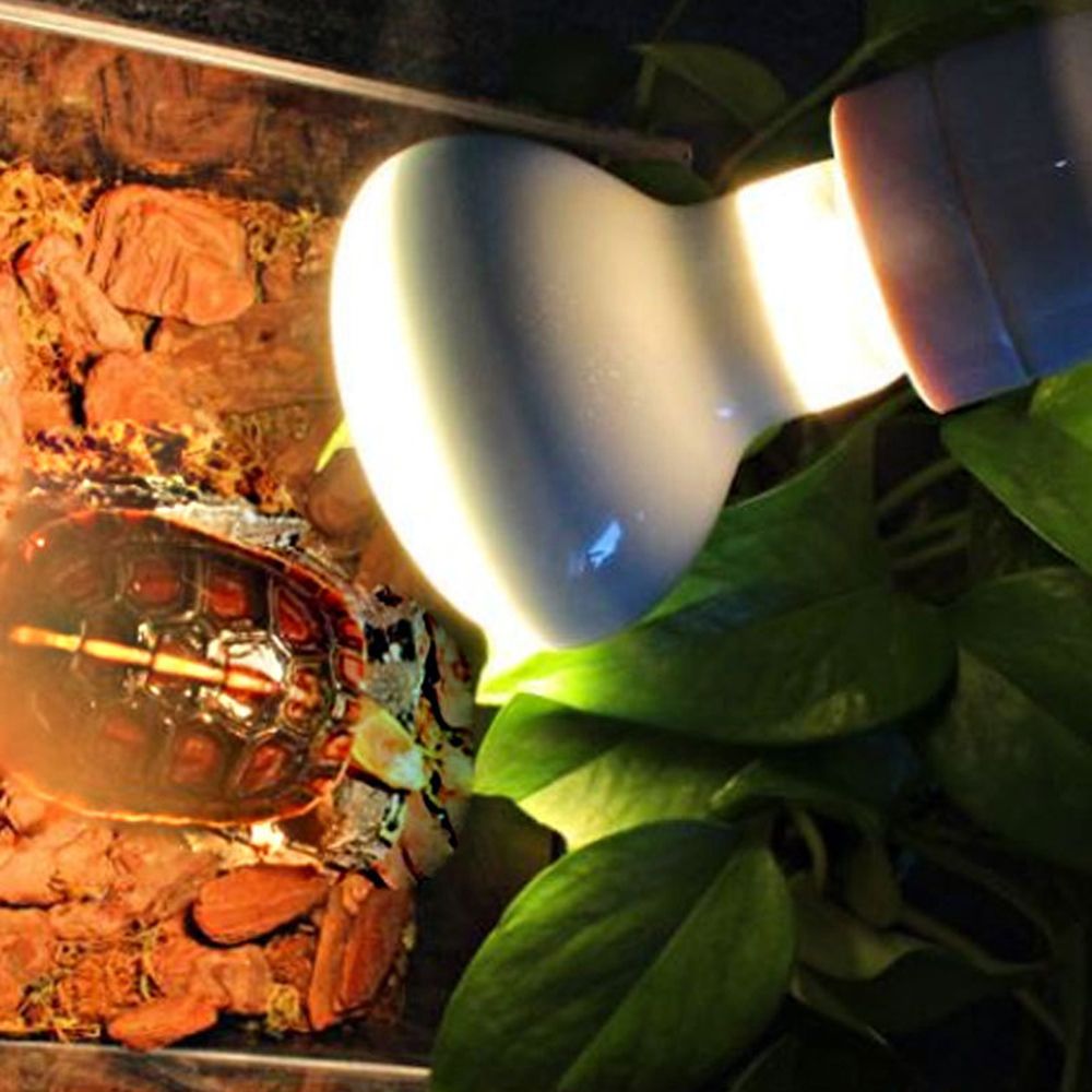 Lizard Heater Temperature Cont - Basking Bulb Halogen บทวิจารณ์และราคา