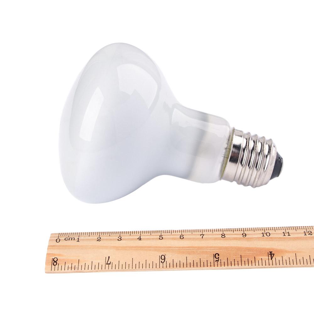 Lizard Heater Temperature Cont - Basking Bulb Halogen บทวิจารณ์และราคา