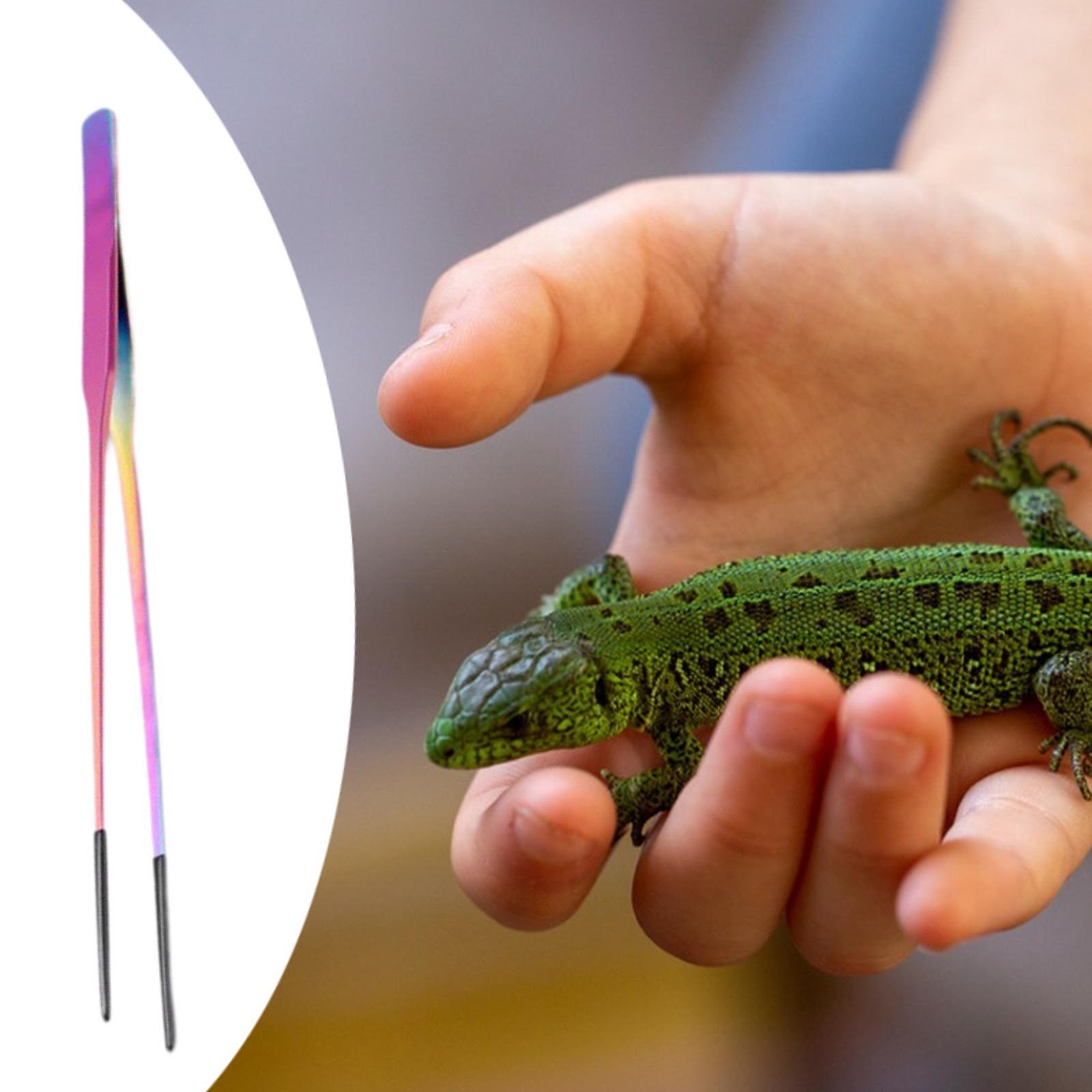 Terrarium Reptile Feeder Tongs - Feeding Tong Stainless บทวิจารณ์และราคา