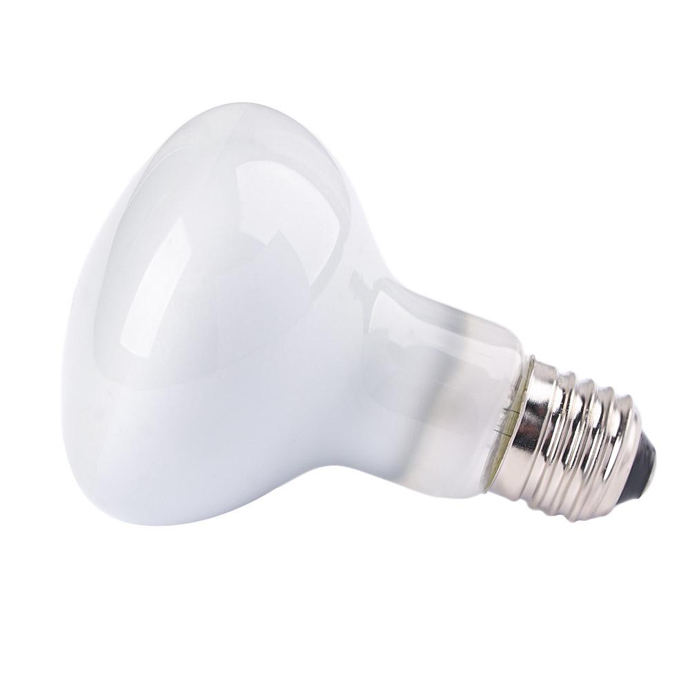 Lizard Temperature Controller  - Basking Bulb Halogen บทวิจารณ์และราคา