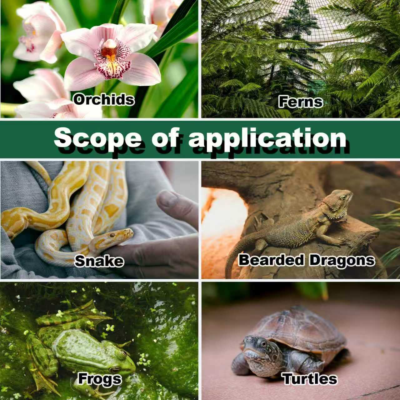 Reptile Humidifier Terrarium F - Terrarium Fogger Ultrasonic บทวิจารณ์และราคา