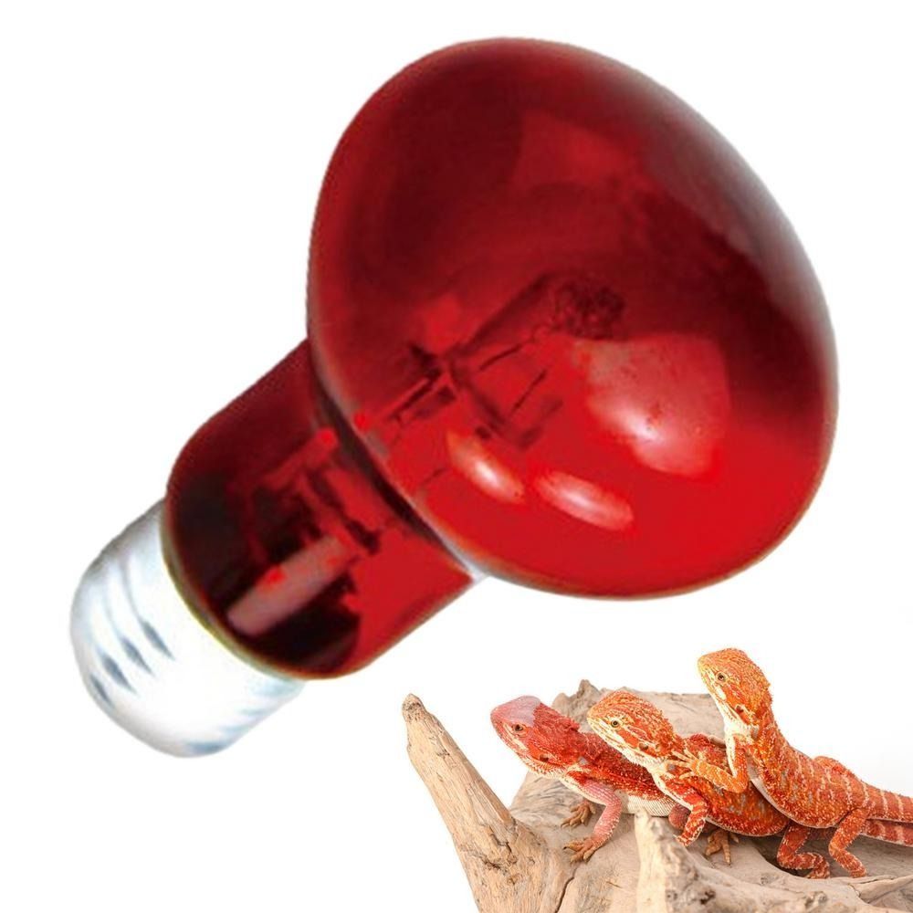 Infrared Led Pet Heating Lamp  - Ceramic Heat Emitter บทวิจารณ์และราคา