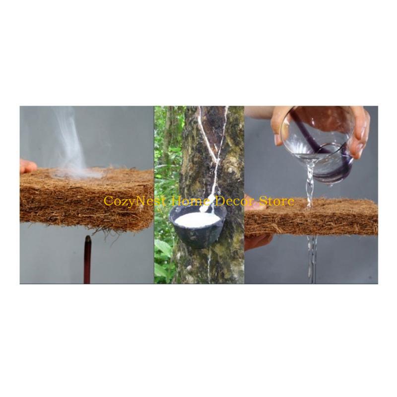 92MF Terrariums Substrate Line - Substrate Coconut Fiber บทวิจารณ์และราคา