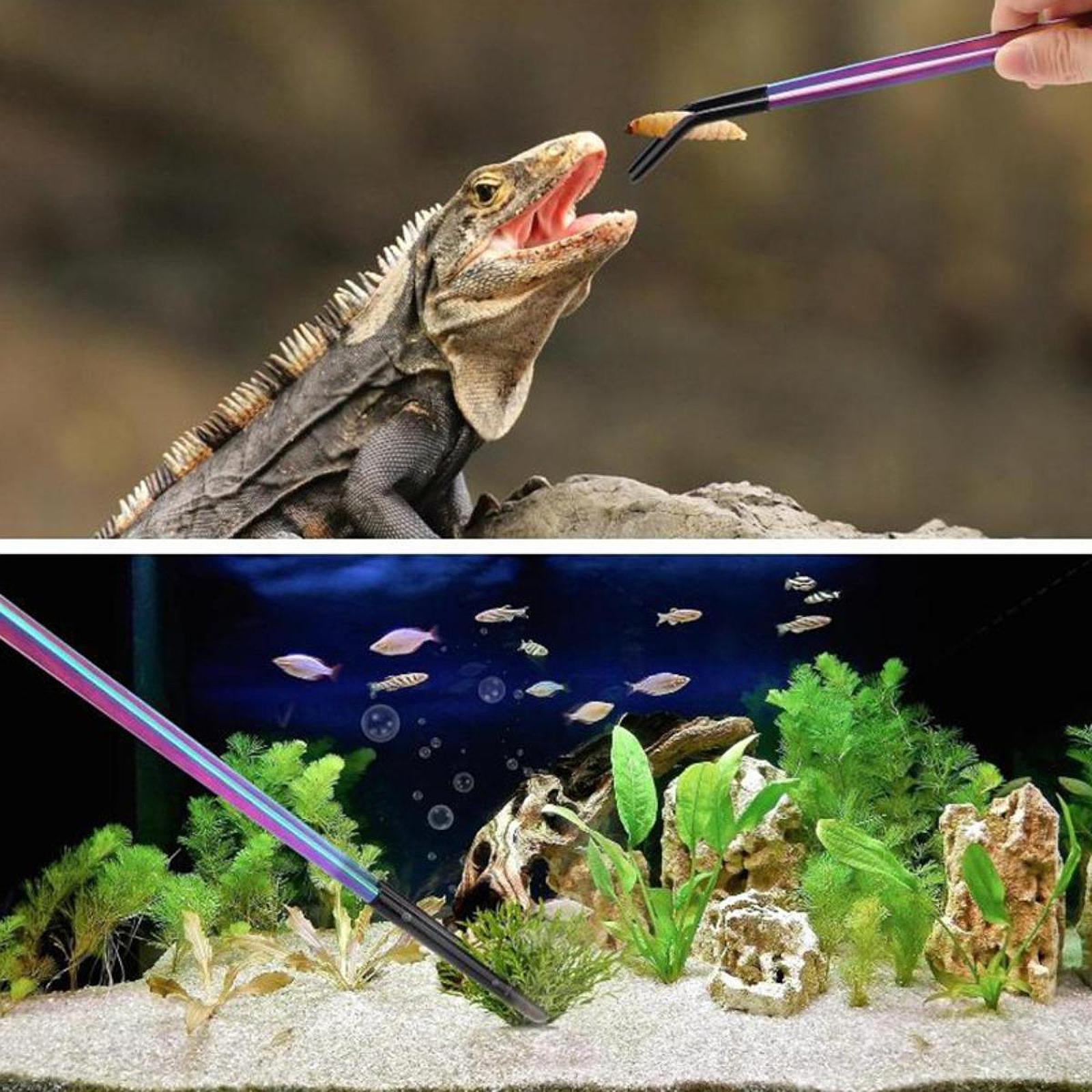Aquarium Tweezers Reptile Feed - Feeding Tong Stainless บทวิจารณ์และราคา