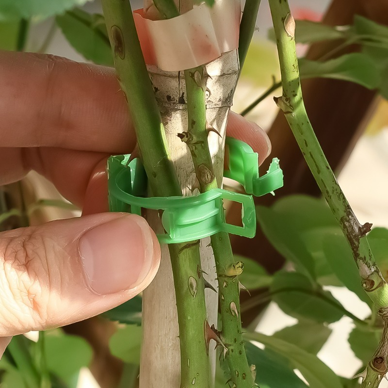 10-500Pcs Garden Plant Support - Vine Climbing Plastic บทวิจารณ์และราคา