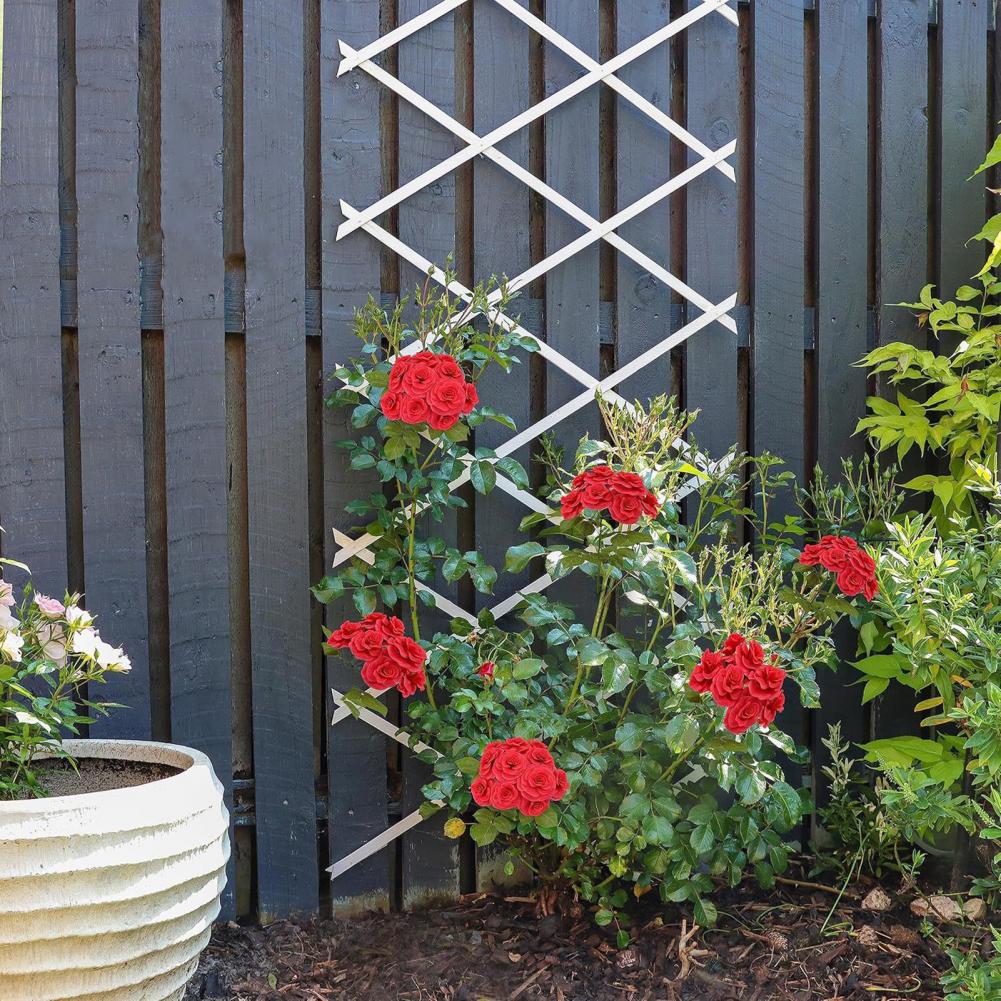 Expandable Garden Trellis 70 x - Vine Climbing Plastic บทวิจารณ์และราคา