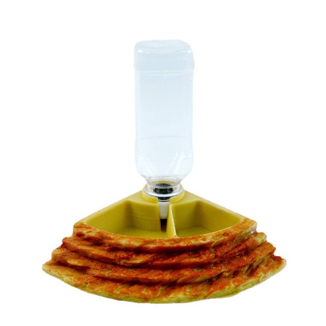 2 in 1 Reptile Water Cup Feede - Water Dish Reptile บทวิจารณ์และราคา