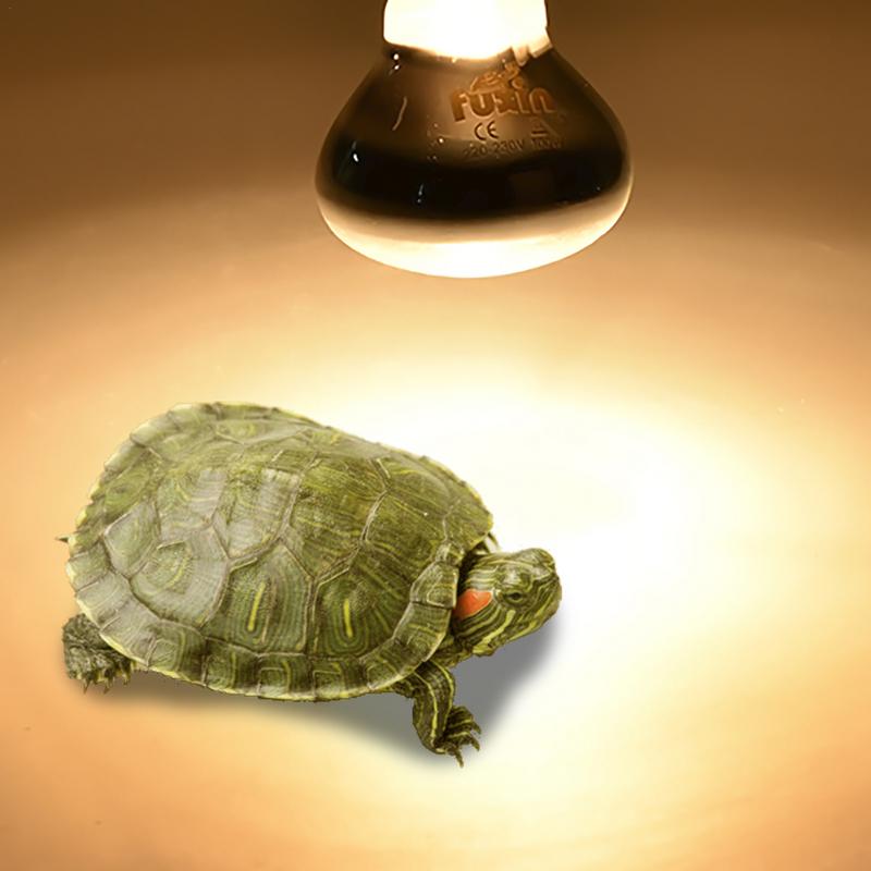 Pet Heating Lamp E27 Day Night - Ceramic Heat Emitter บทวิจารณ์และราคา