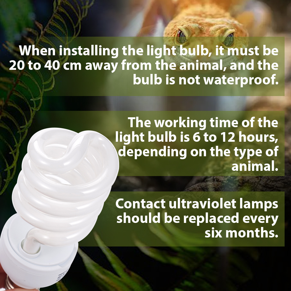 26W Pet Box Lamp Calcium Suppl - Calcium Powder Reptile บทวิจารณ์และราคา