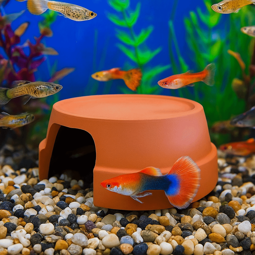Multifunctional Ceramics Repti - Hide Cave Ceramic บทวิจารณ์และราคา