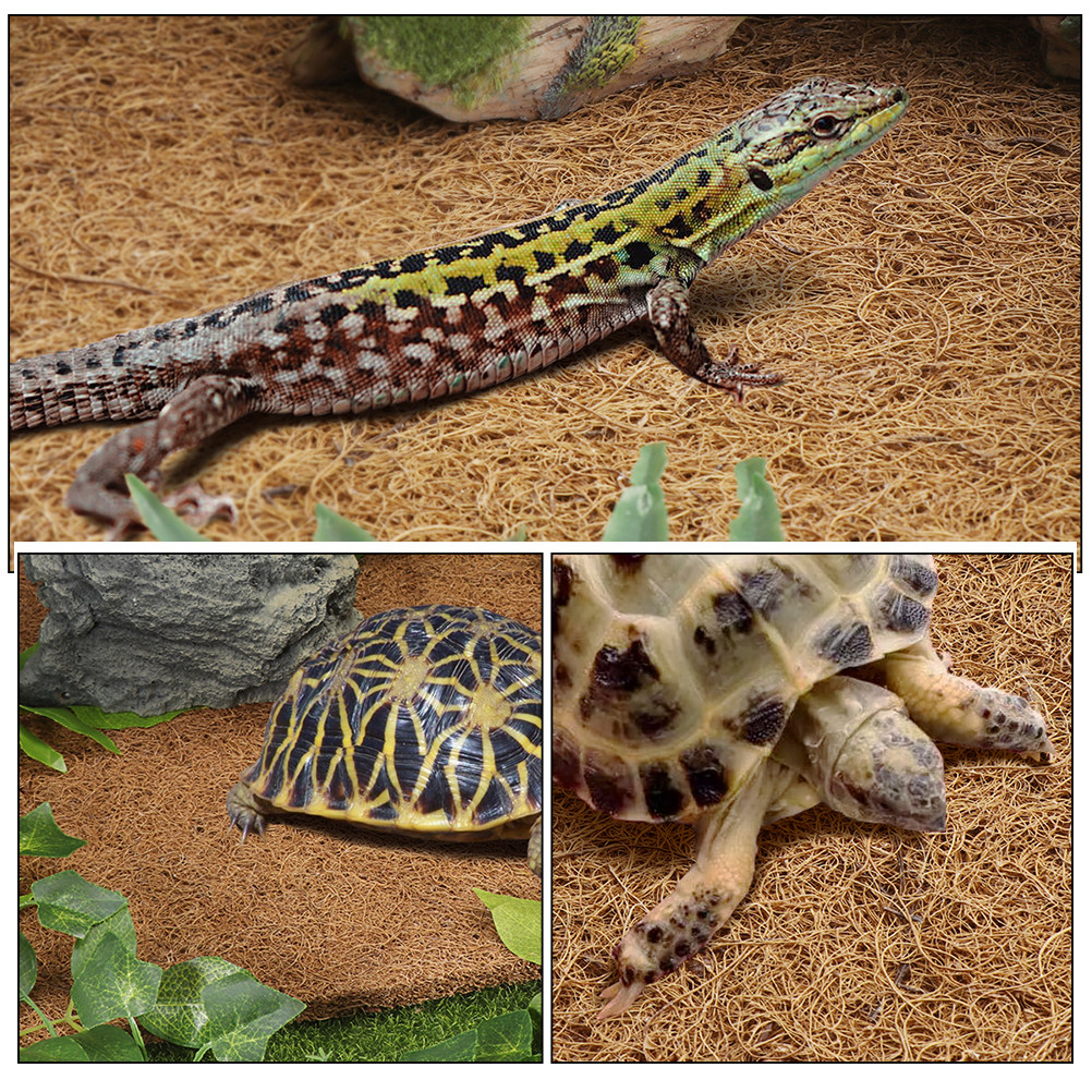 Reptile Carpet Natural Coconut - Substrate Coconut Fiber บทวิจารณ์และราคา