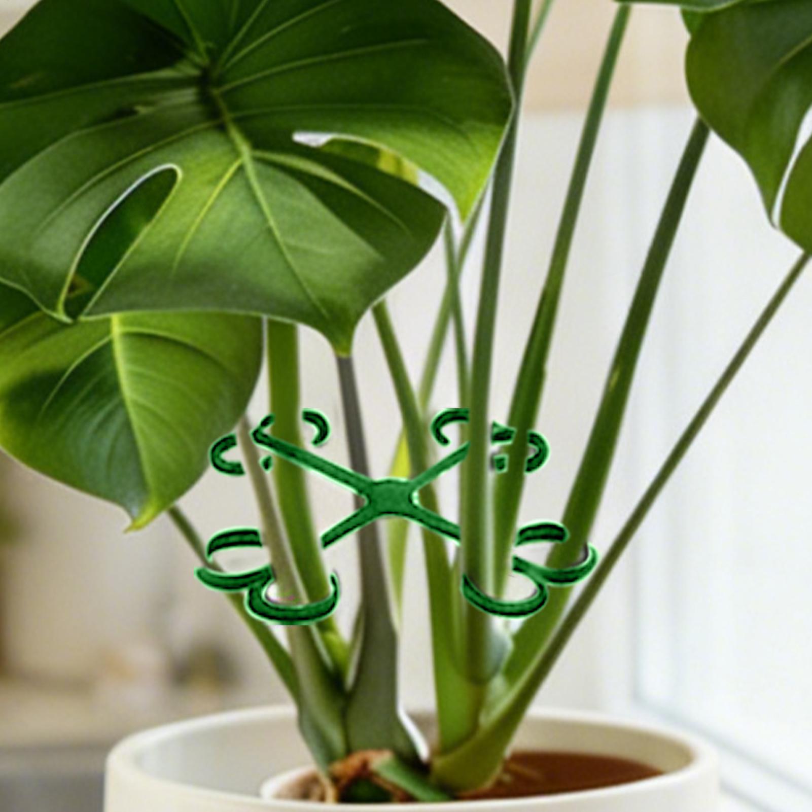 4Pcs Plant Stem Support Clips  - Vine Climbing Plastic บทวิจารณ์และราคา