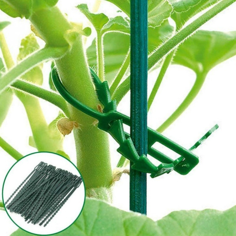 50Pcs Reusable Adjustable Plas - Vine Climbing Plastic บทวิจารณ์และราคา