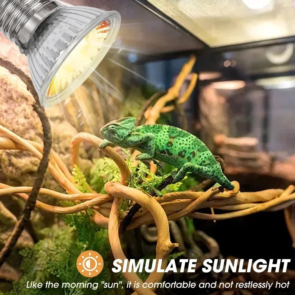 75/50/25W Tortoise Lizard Bask - Calcium Powder Reptile บทวิจารณ์และราคา