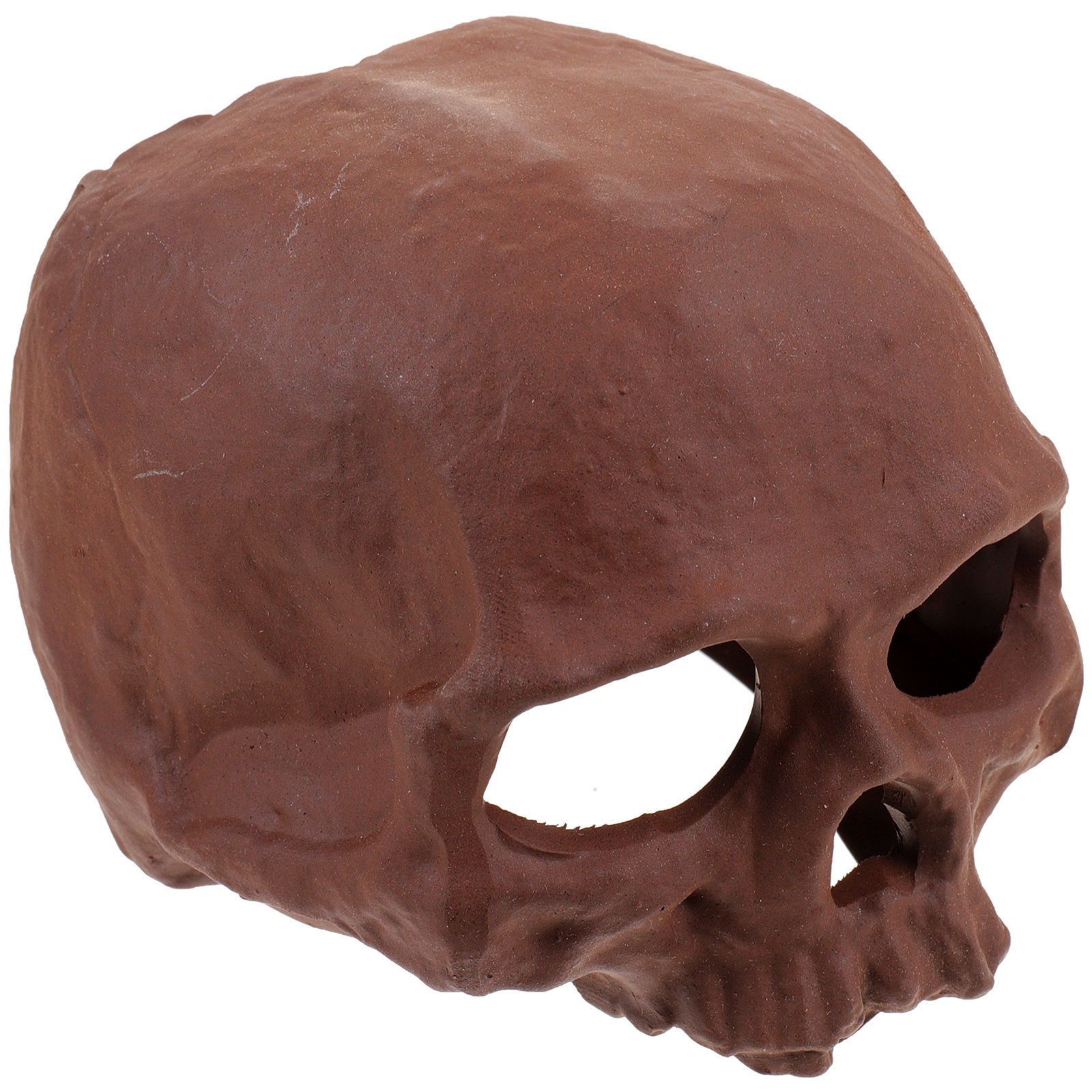 Ceramic Fish Cave Shrimp Hide  - Hide Cave Ceramic บทวิจารณ์และราคา