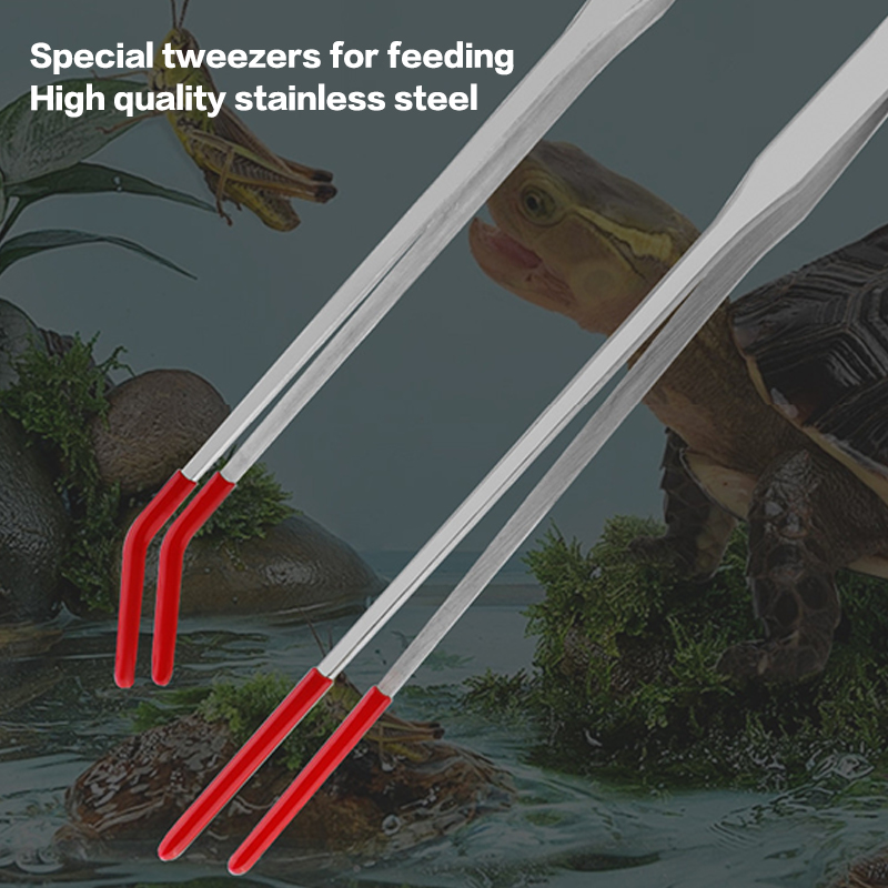 Fish Tank Cleaning Tools Snake - Feeding Tong Stainless บทวิจารณ์และราคา