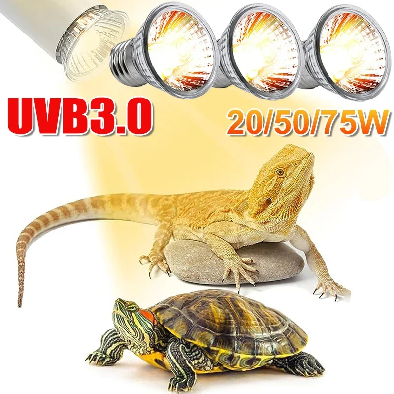 25/50/75W UVB Reptile Lamp Bul - Calcium Powder Reptile บทวิจารณ์และราคา
