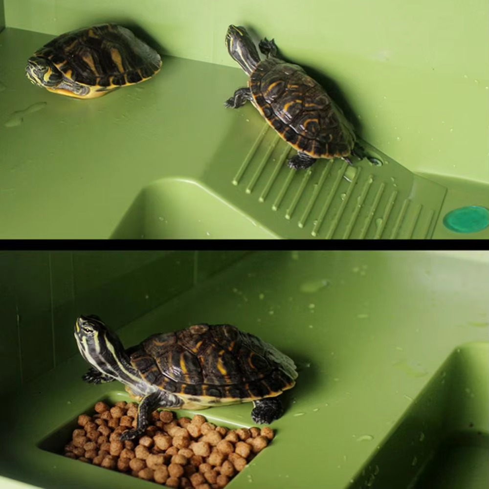 Water Land Slope Box Feeding C - Water Dish Reptile บทวิจารณ์และราคา