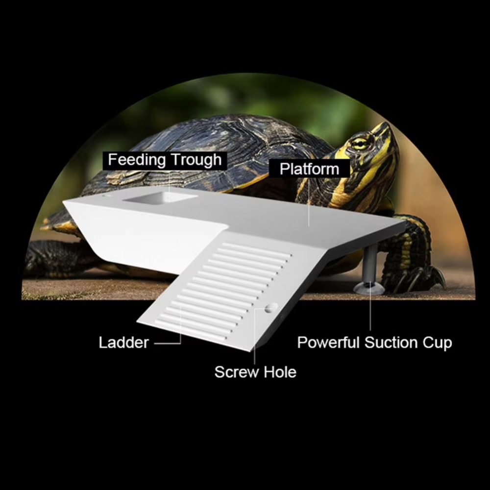 Water Land Slope Box Feeding C - Water Dish Reptile บทวิจารณ์และราคา
