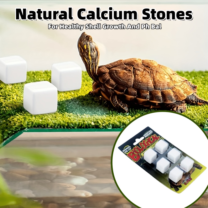 6 Pcs Fish Tank Calcium Block  - Calcium Powder Reptile บทวิจารณ์และราคา