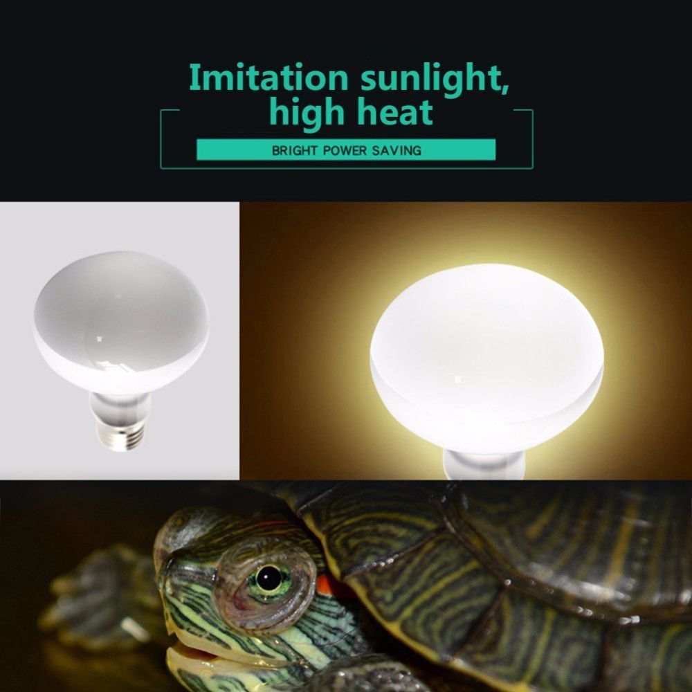 Amphibians Heat Lamp Temperatu - Basking Bulb Halogen บทวิจารณ์และราคา