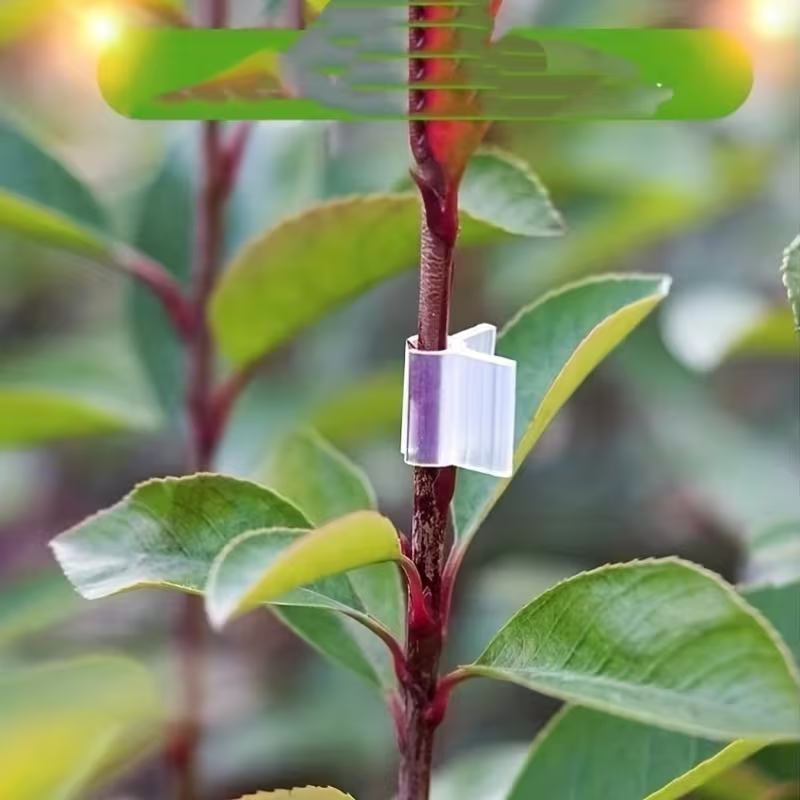 50pcs Agriculture Grafting Cli - Vine Climbing Plastic บทวิจารณ์และราคา