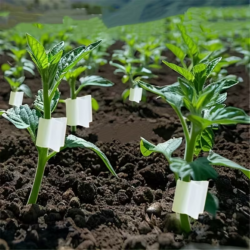50pcs Agriculture Grafting Cli - Vine Climbing Plastic บทวิจารณ์และราคา