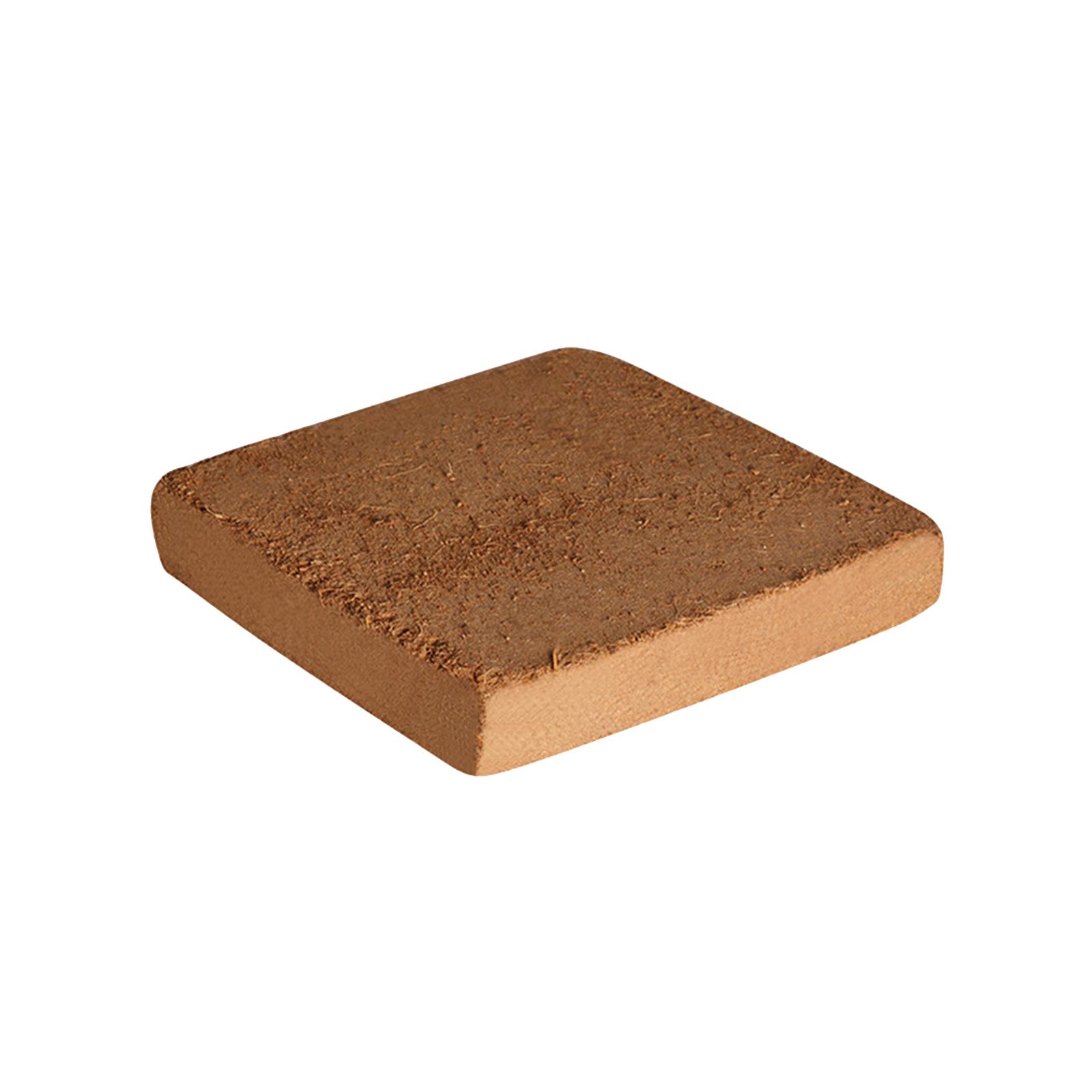 Soil Coconut Fibre Terrarium S - Substrate Coconut Fiber บทวิจารณ์และราคา