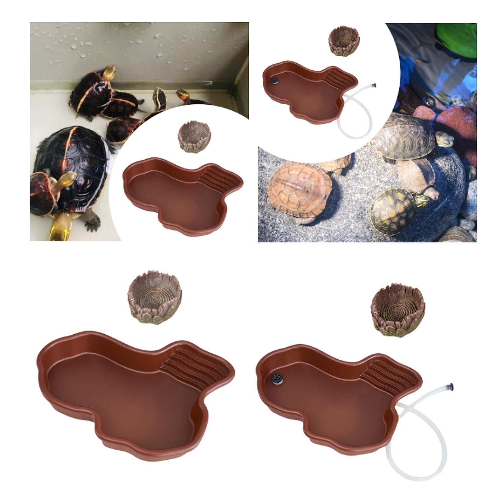 Reptile Feeding Dish Reptile B - Water Dish Reptile บทวิจารณ์และราคา